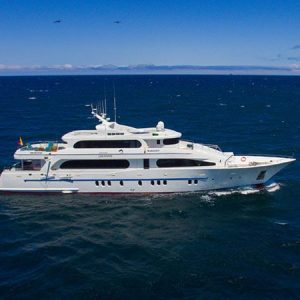 Grand Daphne 450 -