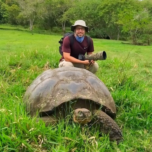 david galapagos - david galapagos -