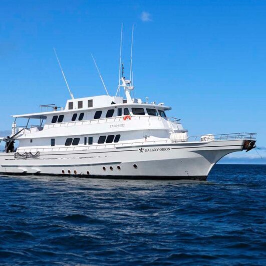 Galaxy Orion Galapagos Yatch