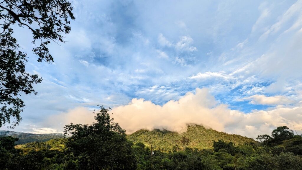 Low clouds over the forested hills of the Mindo Cloud Forest, Ecuador
