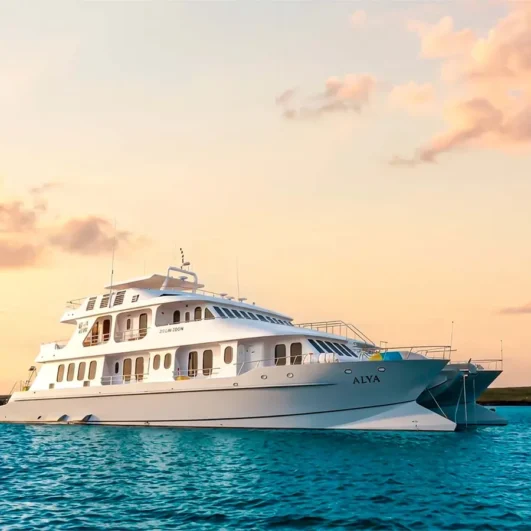 Alya Galápagos Catamaran