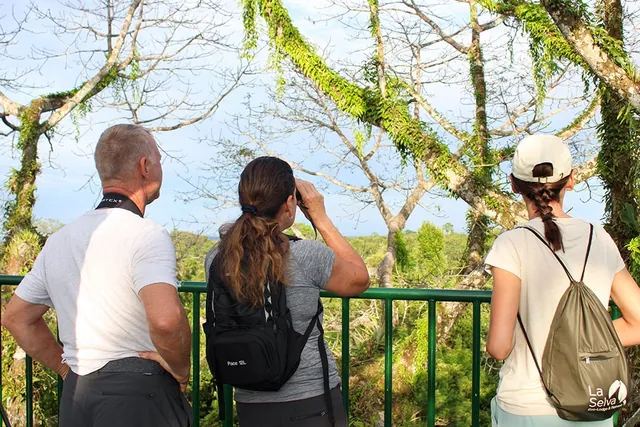 amazon la selva tower 640 - Dana Tours The observation tower of La Selva above the forest (photo: La Selva)