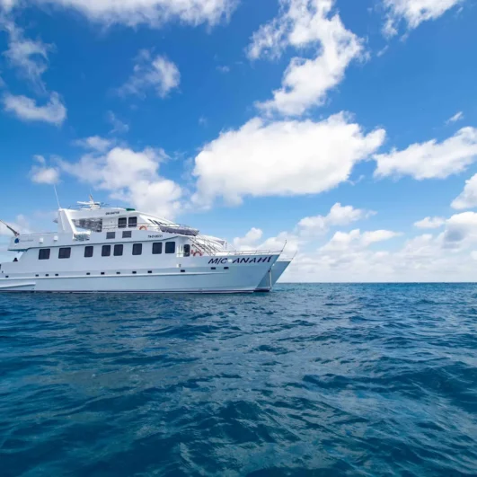 Anahi Galápagos Catamaran