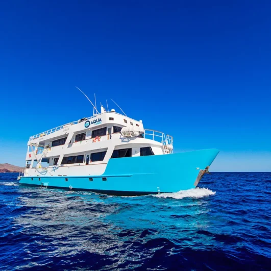 Aqua Galápagos Diving Yacht