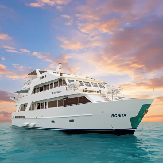 Bonita Galápagos Yacht