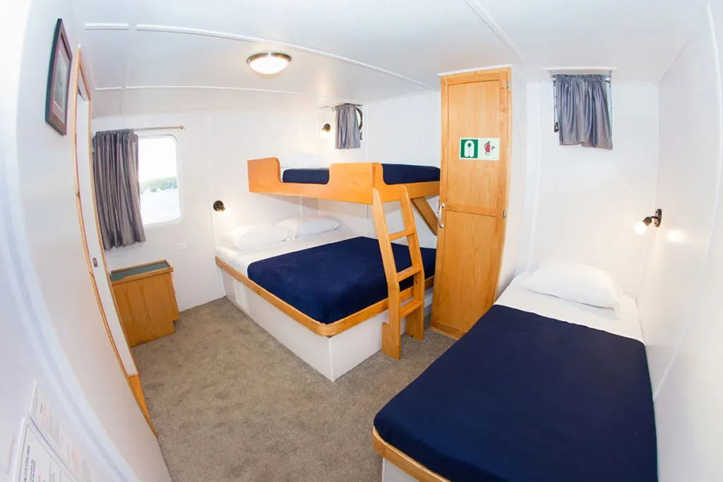 Family cabin with a bunk bed on the Cachalote Explorer