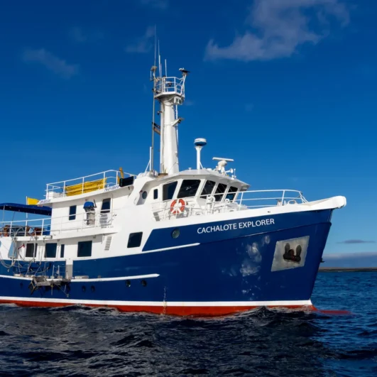The Cachalote Explorer yacht in the Galápagos