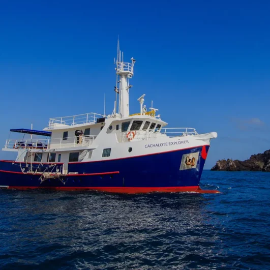 Cachalote Explorer Galápagos Yacht
