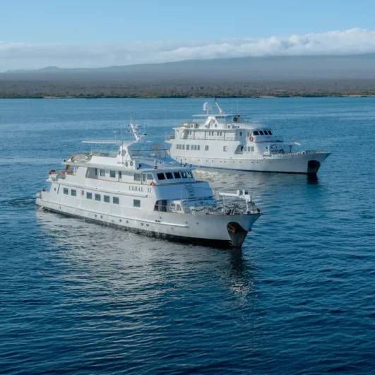 Coral I & II Galápagos Yachts