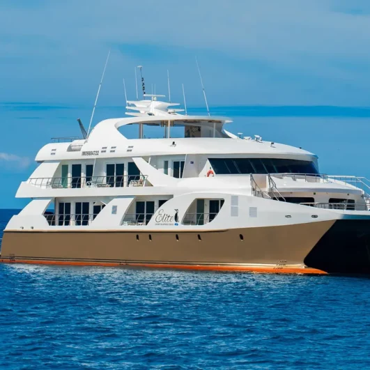 Elite Galápagos Catamaran