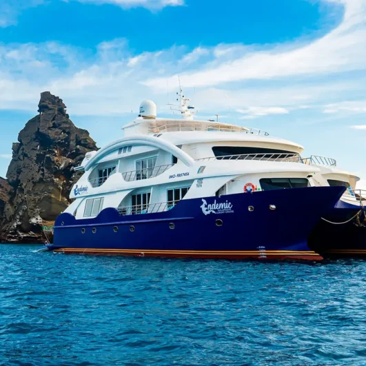 Endemic Galápagos Catamaran