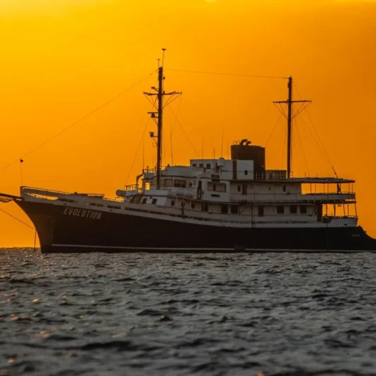 Evolution yacht at sunset in the Galápagos Islands
