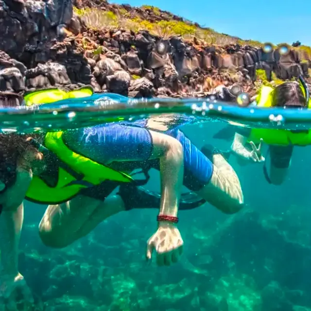 Snorkeling in the Galápagos (photo: Finch Bay Galápagos Hotel)