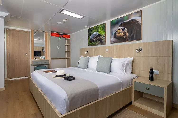 Suite with a queen bed on the Galapagos Angel