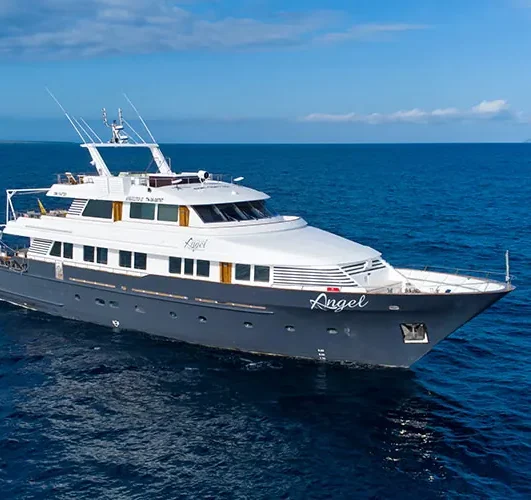 Galapagos Angel Yacht