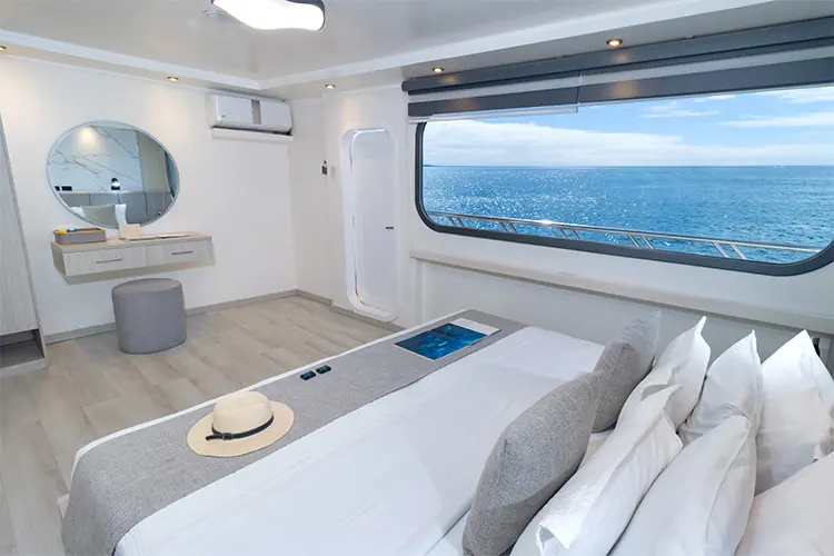 Cabin with a king bed and sea views on the Galapagos Horizon