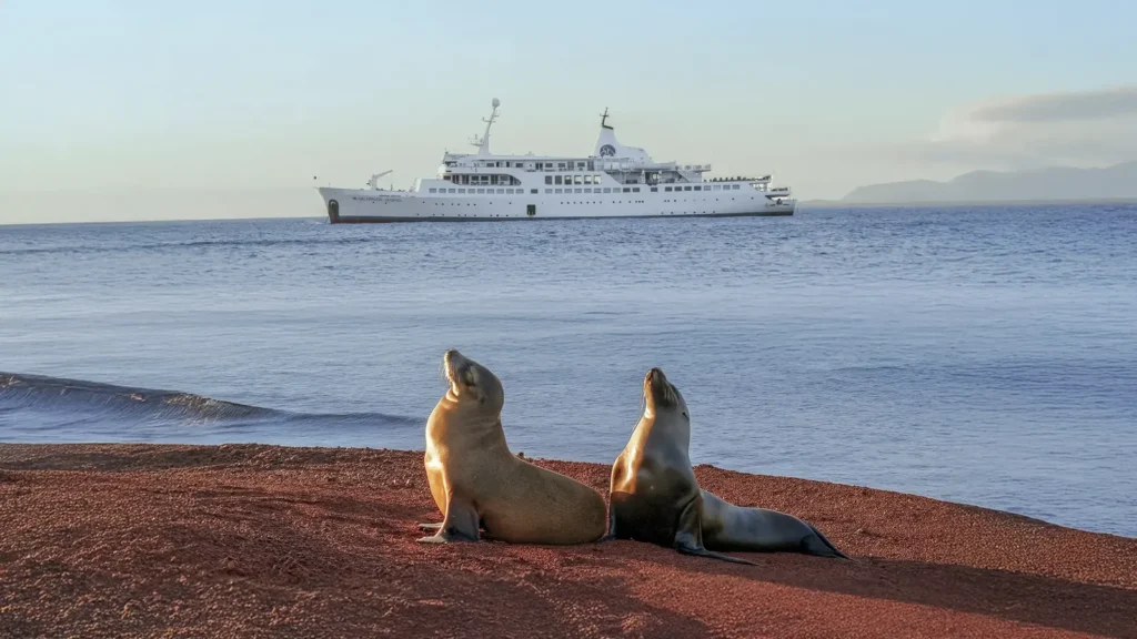 Two sea lions on a red-sand beach with the Galapagos Legend expedition ship anchored offshore