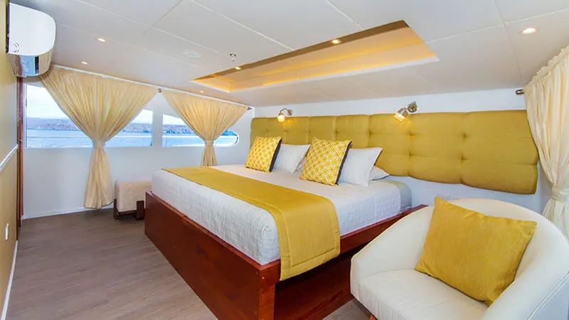 Main-deck suite with a king bed and sofa on the Grand Daphne