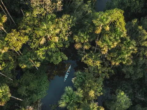 home amazon rainforest 480 - Dana Tours A canoe on a creek in the Amazon rainforest, seen from above