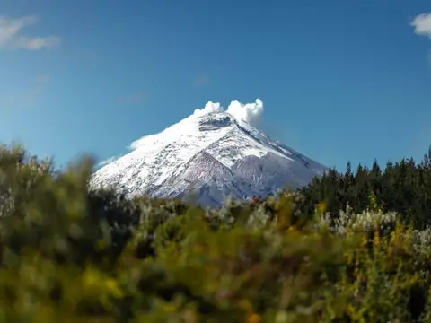Cotopaxi volcano above the páramo
