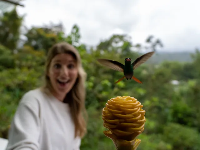A guest smiles as a hummingbird feeds from a flower she holds, Mindo Cloud Forest