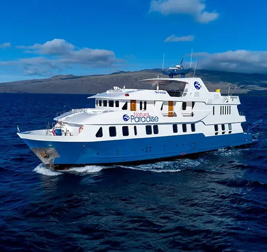 Natural Paradise Galápagos Yacht