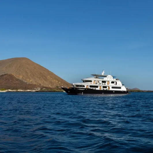 Petrel catamaran in the Galápagos Islands