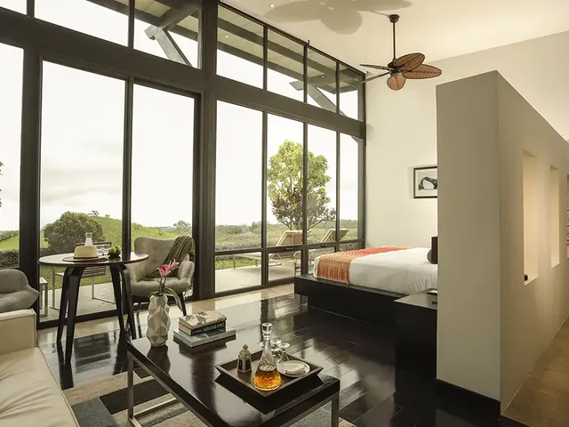 pikaia garden suite 640 - Dana Tours The Garden Suite at Pikaia Lodge with a king bed and panoramic windows (photo: Pikaia Lodge)