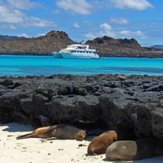 Seaman Journey Galápagos Catamaran