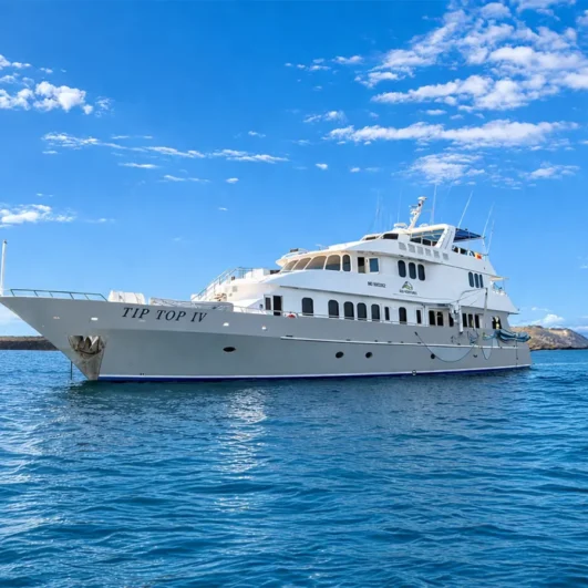 Tip Top IV Galápagos Yacht