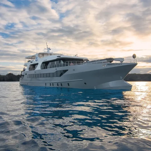 Tribute luxury yacht at sunset in the Galápagos Islands