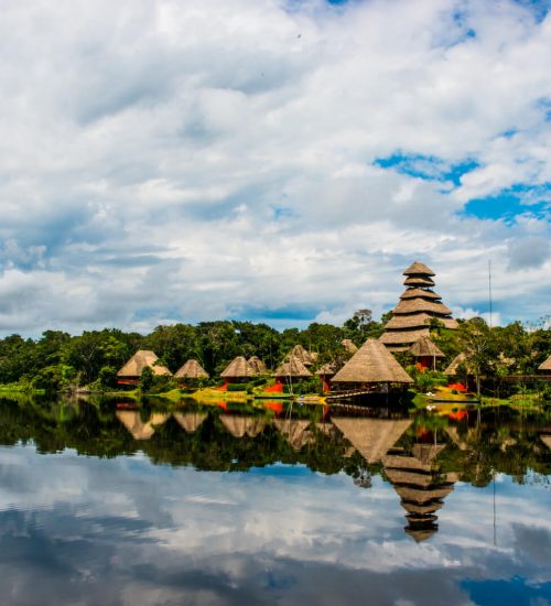 Napo Wildlife Center