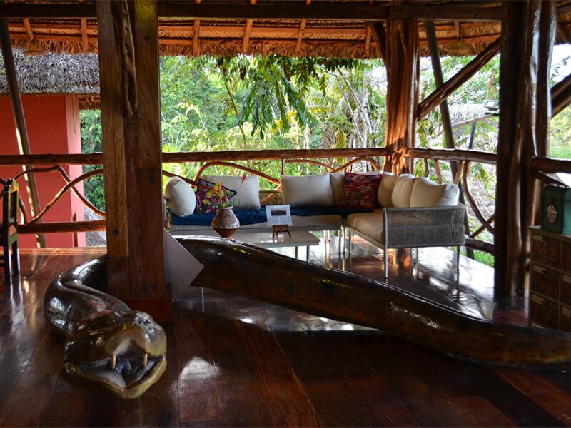 amazon-lodges-dana-tours amazon-lodges-dana-tours