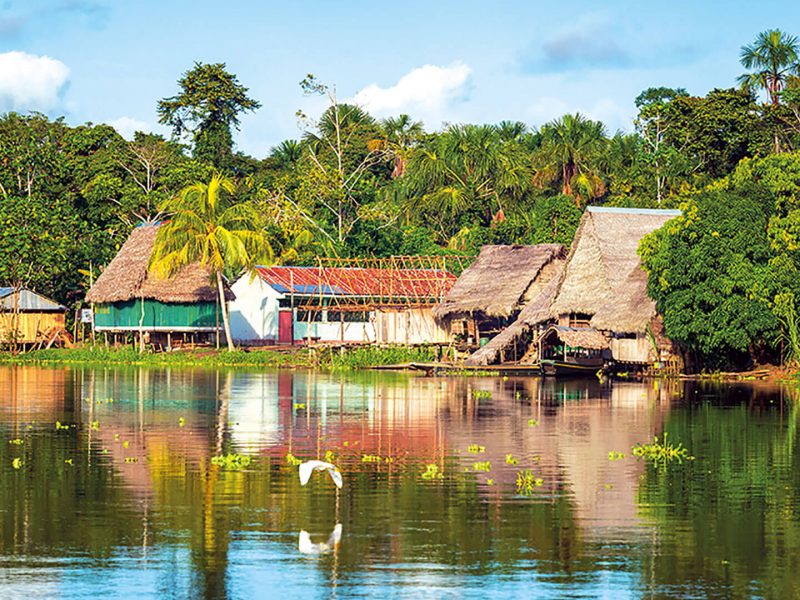 amazon-lodges2 (1) amazon-lodges2 (1)