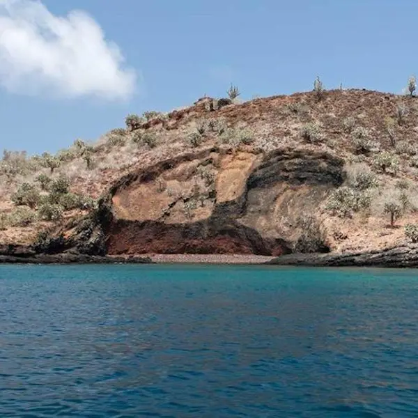 Champion Islet
