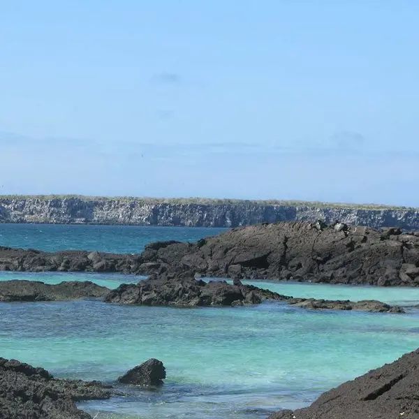 Darwin Bay