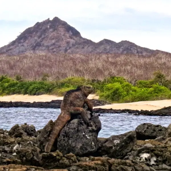 Eden Islet
